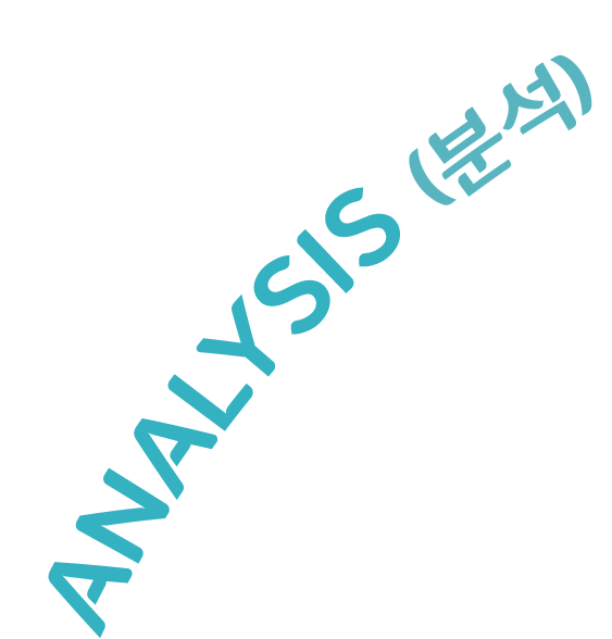 분석